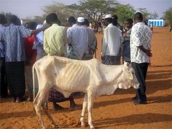 rdc_arrivee_boma.jpg east_africa_food_crisis-798429