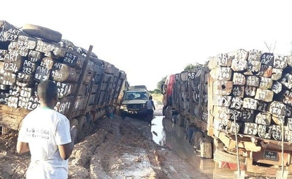 Camiões com madeira entalados há duas semanas, em Cazombo