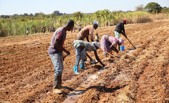 130 Milhões de dólares disponibilizados pelo Banco Mundial para agricultura