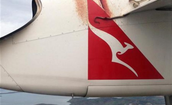 Cobra em asa de avião assusta passageiros na Austrália