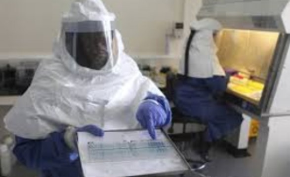 Angola em prontidão para conter entrada do vírus Ébola