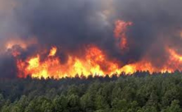 Violentos fogos florestais nos Estados Unidos