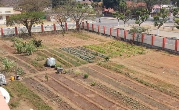 Executivo lança fórum de combate à pobreza e tenciona elevar Moxico líder na produção do arroz