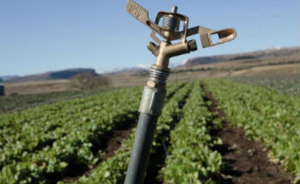 Angola e Brasil lideram emissão de CO2 na agricultura dos países lusófonos