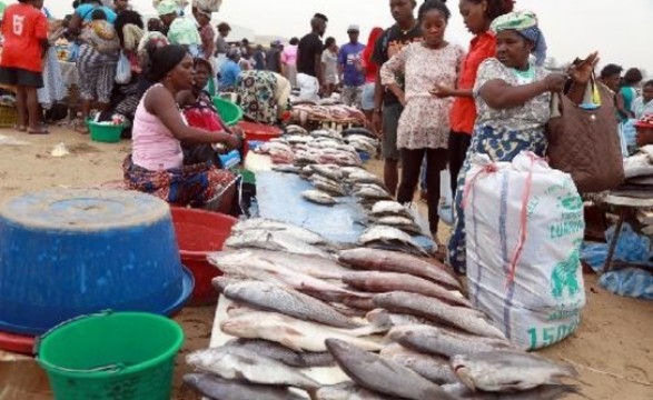 Serviços de fiscalização apreendem pescado na praia da Mabunda