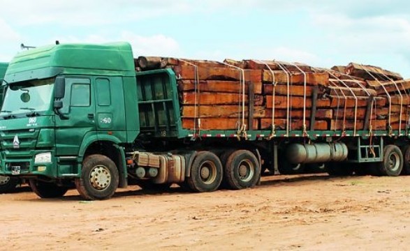 Cidadãos detidos por transporte ilegal de madeira no kuando kubango