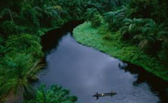 FAO garante total apoio na implementação do projecto florestal Maiombe
