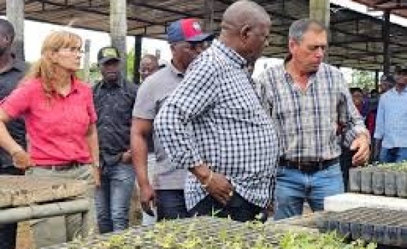 Sem máquinas, sem produção, governador de Malanje reconhece colapso agrícola