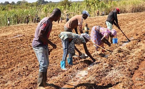 Mais de 200 beneficiários de programa de apoio à produção agropecuária denunciam burla de 24 milhões no Kubango