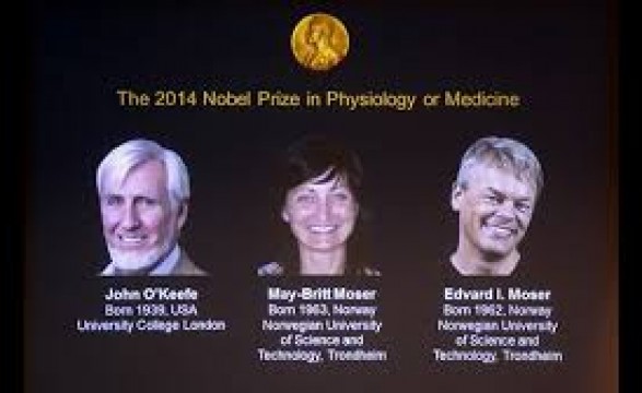 Nobel da Medicina distingue três cientistas que descobriram 