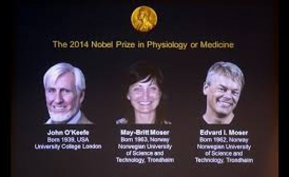 Nobel da Medicina distingue três cientistas que descobriram