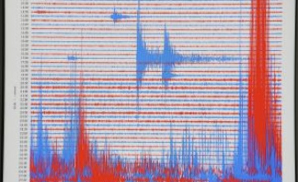 Sismo de magnitude 6,1 sacudiu região Norte da Nova Zelândia