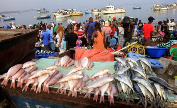 Relatório do BAD alerta, pesca ilegal é responsável pela redução do rendimento nacional
