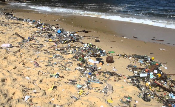 Em nome do respeito pela criação igreja em Luanda mobiliza cidadãos para limpeza de praias