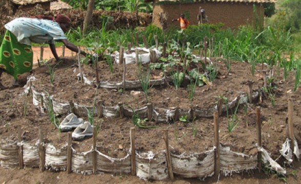 Cultivo de terrenas paróquias vai ajudar a enfrentar a fome no Ruanda 