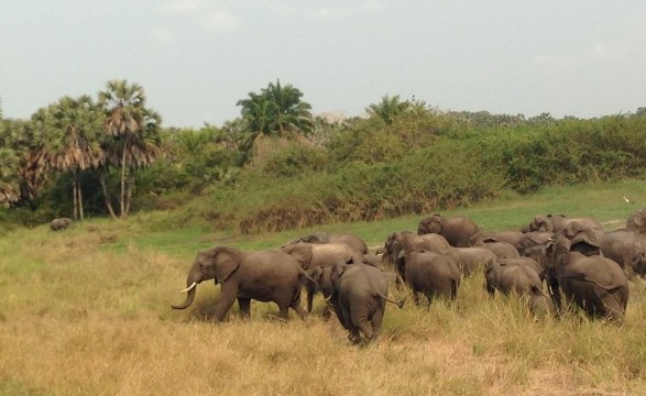 Angola esta pela primeira vez, no mapa mundial das reservas da biosfera da UNESCO