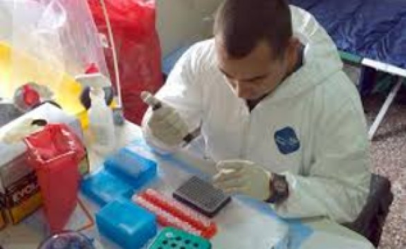 Ébola, primeira vacina testada em humanos com resultados positivos