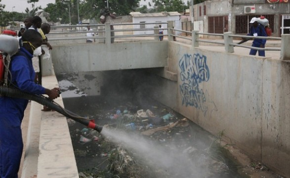 Há novo alerta sobre a possibilidade da existência de mais casos do vírus Zika 