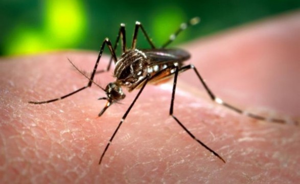 China preparada para a chegada do vírus Zika 