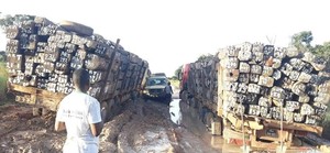 Camiões com madeira entalados há duas semanas, em Cazombo