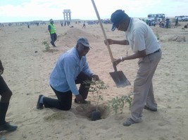 Mais de 400 Arvores plantadas pelos Bispos católicos 