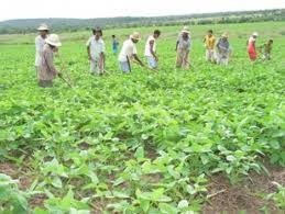 Cresceu a produção agrícola no país, diz Amaro Tati