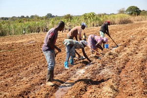 130 Milhões de dólares disponibilizados pelo Banco Mundial para agricultura