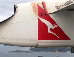Cobra em asa de avião assusta passageiros na Austrália
