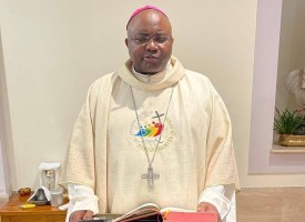 D. Belmiro destaca participação da igreja angolana no jubileu da juventude em Roma