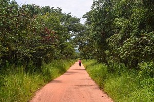 No Bocoio: Catequista foge de aldeia para escapar a linchamento público