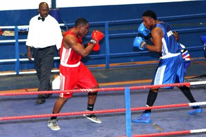 Campeonato de boxe em Luanda