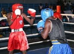 Federação angolana de boxe tem novo corpo directivo 