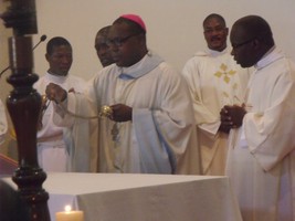 Bispo auxiliar apela à comunhão missionária na igreja