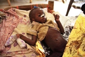 FAO: número de pessoas com fome se reduziu a 868 milhões no mundo