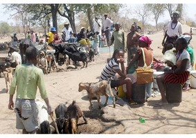 Bispo de Ondjiva renova apelos de solidariedade a fome e seca 