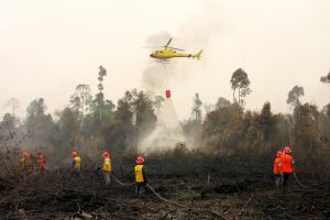 Indonésia diz que pode demorar mais de um mês a extinguir incêndios