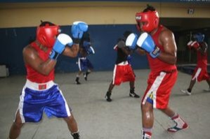 Selecção angolana participa no mundial de Kickboxing da Argentina