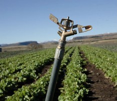 Angola e Brasil lideram emissão de CO2 na agricultura dos países lusófonos