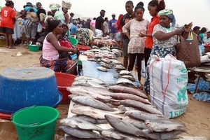 Serviços de fiscalização apreendem pescado na praia da Mabunda