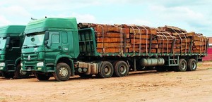 Cidadãos detidos por transporte ilegal de madeira no kuando kubango