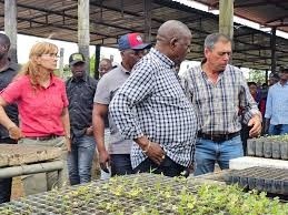 Sem máquinas, sem produção, governador de Malanje reconhece colapso agrícola