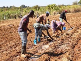 Mais de 200 beneficiários de programa de apoio à produção agropecuária denunciam burla de 24 milhões no Kubango