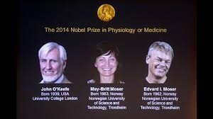 Nobel da Medicina distingue três cientistas que descobriram 