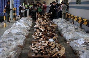 ONU denuncia idade de ouro do crime organizado no leste da Ásia