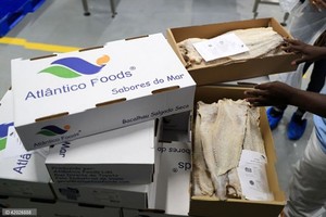 Importação de peixe exerce uma pressão sobre as divisas do país