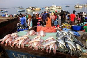 Relatório do BAD alerta, pesca ilegal é responsável pela redução do rendimento nacional