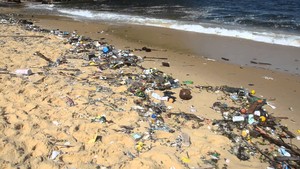 Em nome do respeito pela criação igreja em Luanda mobiliza cidadãos para limpeza de praias 