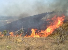 Queimadas podem causar ravinas e por em perigo a cidade do Huambo