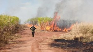 Queimadas matam quatro membros da mesma família em Malanje
