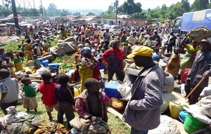 Papa preocupado com situação humanitária do leste da RDC